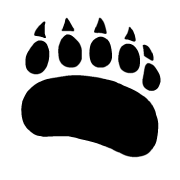 Bearlytics